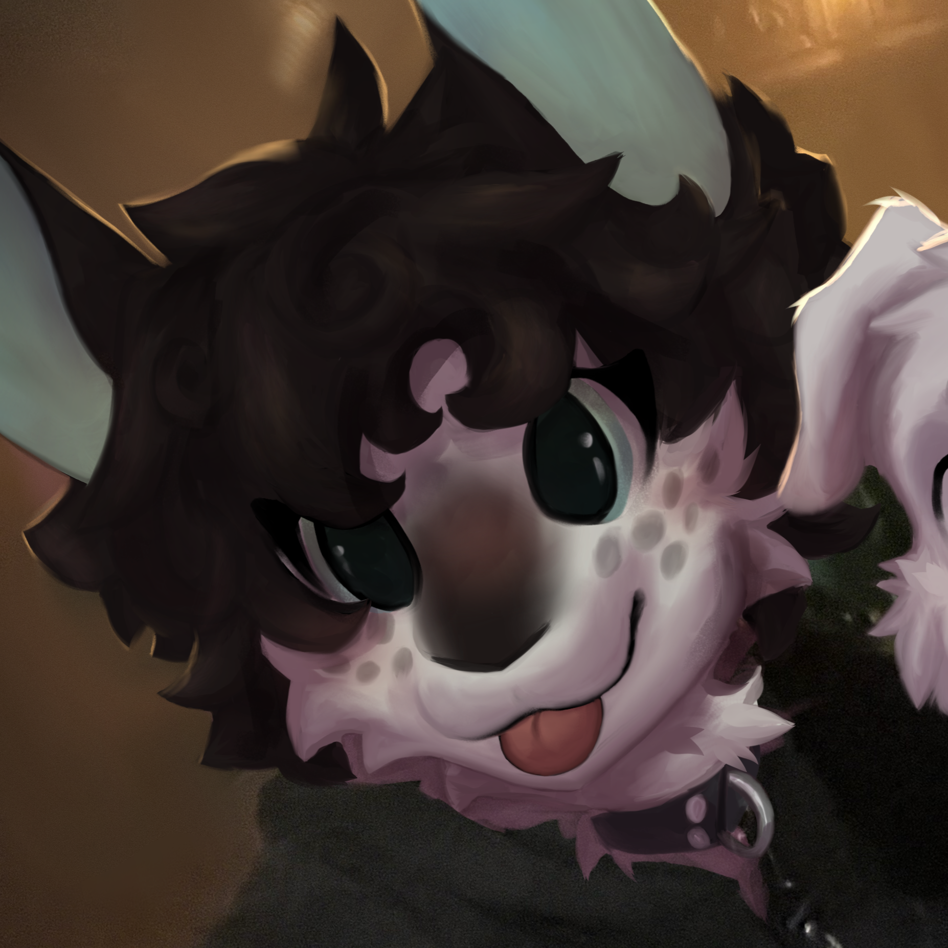 Badge image for Zae